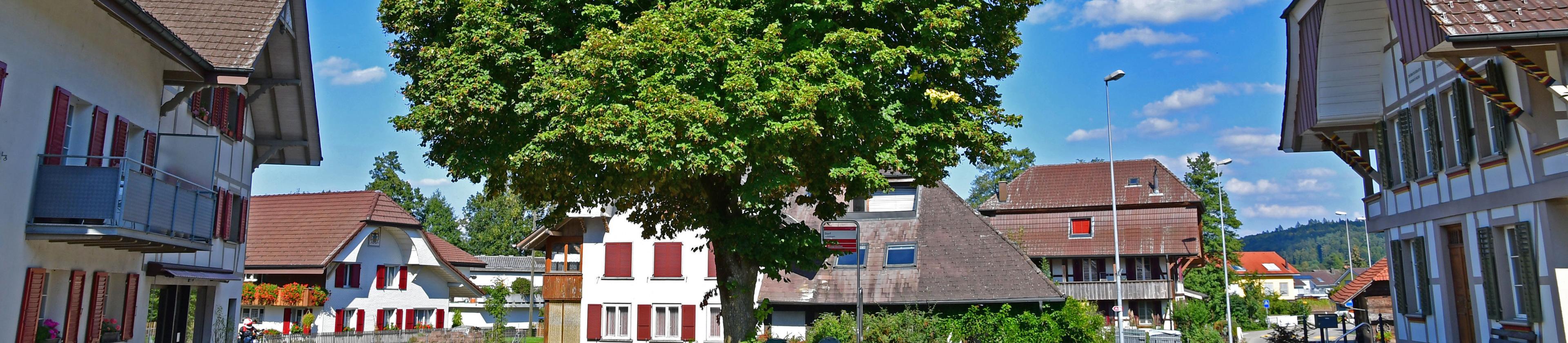 Dorfplatz Bollodingen