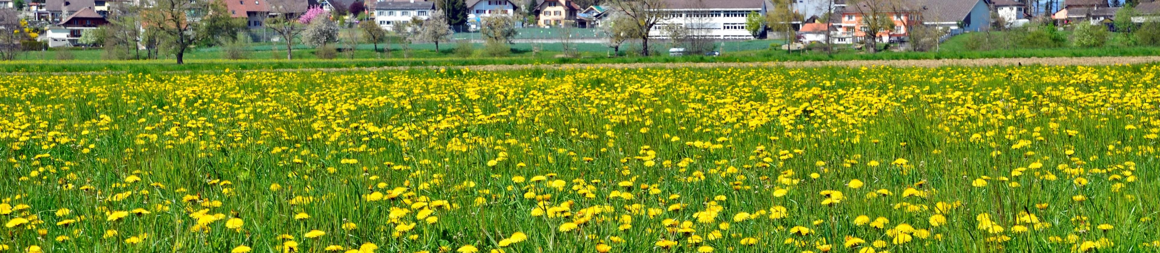 Feld Ansicht zu Schulhaus